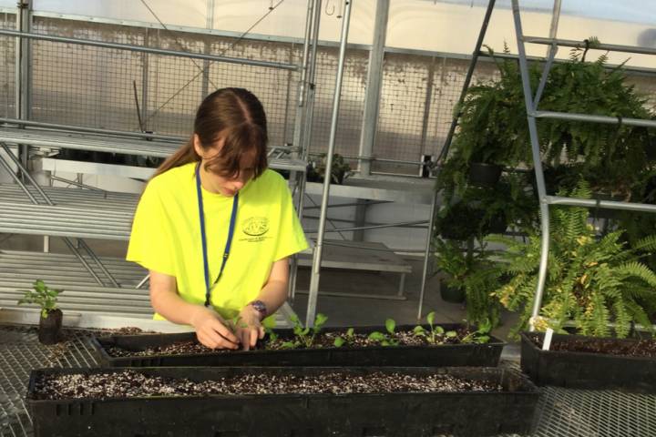 Feed the World alum Mary Ann Hopple