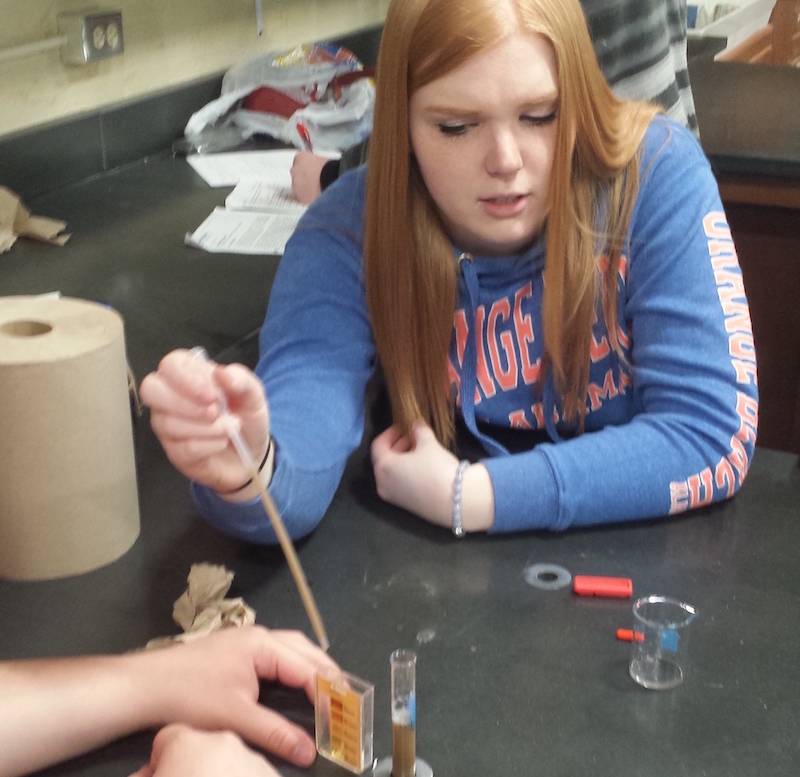 Free test kit yields soil information — Feed the World