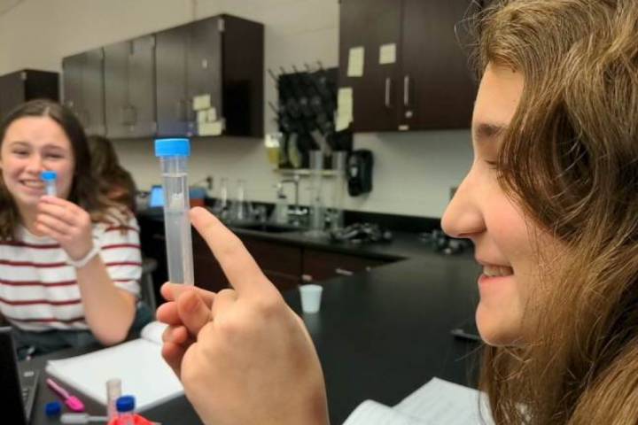 Investigating DNA extraction