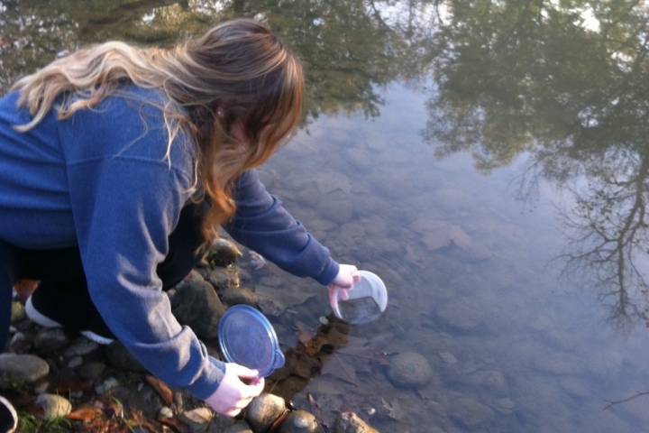 Monitoring water quality close by