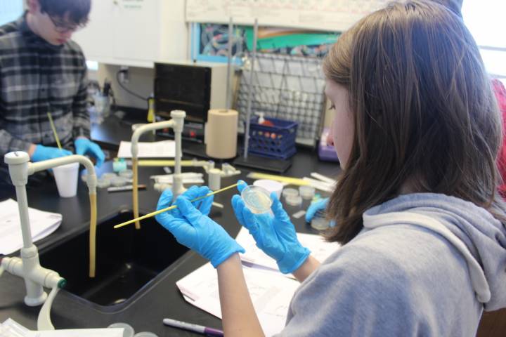 Plant genetics studied with mini-grant materials