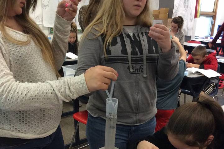 Trimble students test samples to assess soil quality