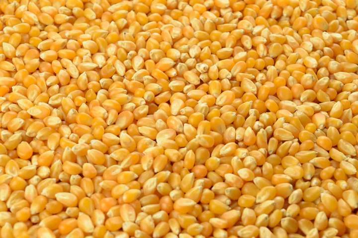 A bushel of corn can provide several products.