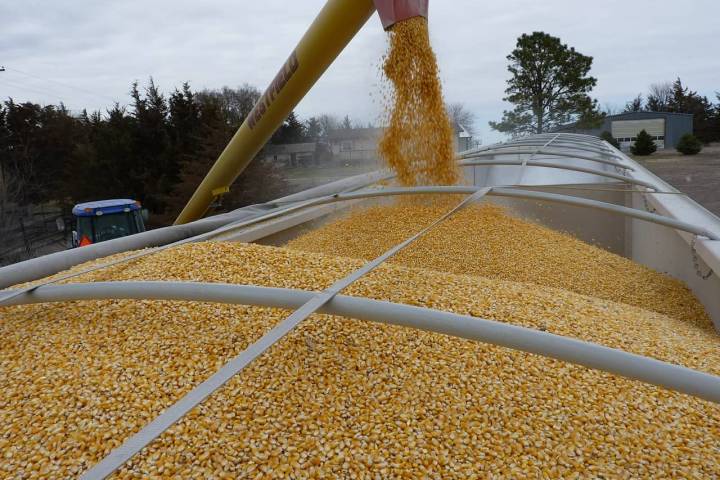 Ohio is the seventh leading producer of corn in the United States.